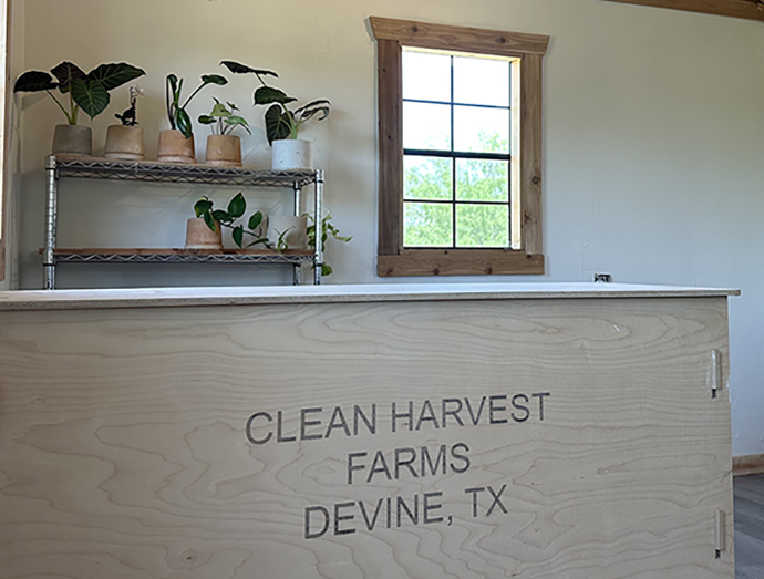 the farm stand at Clean Harvest Farms Local producers market in Devine, TX